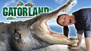 JULIA EATS GATOR AT GATORLAND [upl. by Lashoh]