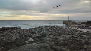 Evening Surf at the harbour ASMR 4K [upl. by Oilcareh]