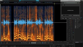 RX Audio Repair Master Class  iZotope RX 5 Audio Editor Tips amp Tricks [upl. by Scot]