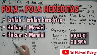 POLAPOLA HEREDITAS part 1 Istilah2 hereditas Hukum I Mendel Hukum II Mendel Biologi XII SMA [upl. by Ginger]