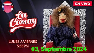 La Comay En Vivo Hoy 03 Septiembre 2023 Puerto Rico [upl. by Berthoud570]