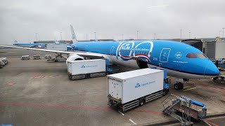 KLM Business Class Flight Review 78710 [upl. by Meridel]