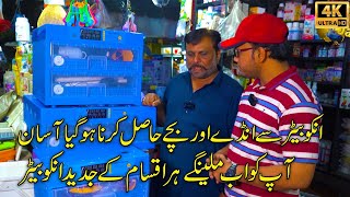 The Best Incubator for Hatching Eggs at MB Traders Nazimabad  أفضل حاضنة لتفريخ البيض [upl. by Royo]