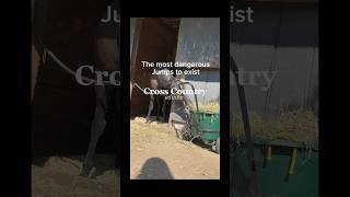 The Cottesmore leapcheck comments part 1 horse equestrianvibes equestrian edit dangerous [upl. by Neiht]