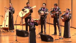 2014 Texas State High School Mariachi Competition McAllen HS [upl. by Winnie]