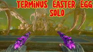 Terminus Easter Egg Solo [upl. by Grigson]