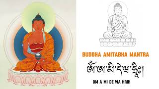 Buddha Amitabha Mantra recited by HH Namkhai Nyingpo Rinpoche 🙏🙏🙏 [upl. by Faxon552]