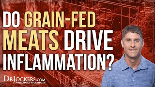 Do Grain Fed Meats Drive Inflammation [upl. by Drawyah]