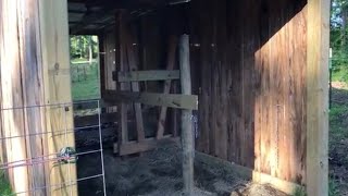 How To Build A Milking Stanchion For Family Milk Cow  Easy [upl. by Ahsenor409]