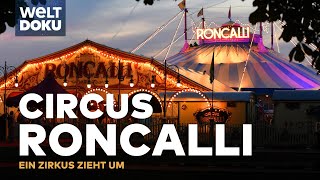 CIRCUS RONCALLI  Ein Zirkus zieht um  Logistische Meisterleistung  WELT Doku [upl. by Nilekcaj]