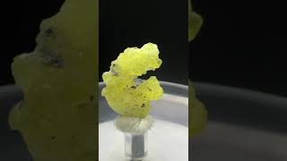 Rare 19 ct Brucite Specimen from Balochistan Pakistan for 21 viral trend shortvideo crystals [upl. by Bibbye462]