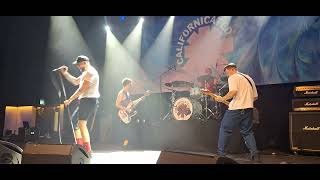 8 november 2024  Californicated Red Hot Chili Peppers tribute  Tribfest Trax Roeselare BE [upl. by Lapham731]