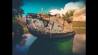 FISHING A SHIPWRECK  CATCH AND COOK [upl. by Whitford80]