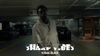 Kodak Black  Sharp Vibes [upl. by Swec]