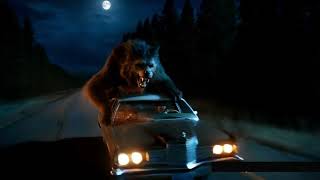 Werewolf Highway Ambush Werewolf attack on car werewolf attack 5 [upl. by Rofotsirk940]