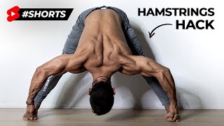 How To Stretch Your Hamstrings The RIGHT Way [upl. by Arehc87]