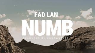 Fad Lan NUMB  LYRICS VIDEO [upl. by Ahsiya]