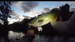 Solo overnight hike catching surface Murray cod [upl. by Teerpnam]