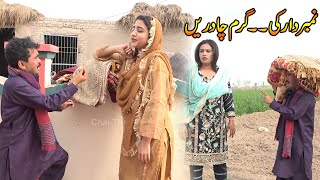 Number Daar Shawl Wala  Rocket Preeto Mukho  New Punjabi Comedy  Funny Video  Chal TV [upl. by Mort721]