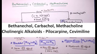 ANS part 4 Bethanechol Carbachol Methacholine and Alkaloids [upl. by Horter]