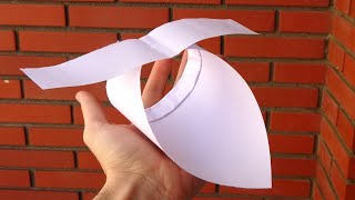 Cómo hacer un Avión de Papel en forma de pájaro [upl. by Pascasia]