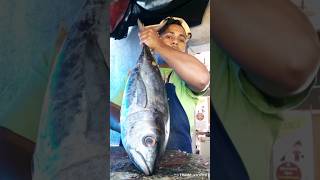 yellowfin tuna fish cutting skills [upl. by Luo]