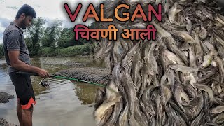 पहिल्या पावसात पकडली गाबोलीची चिवणी  valgan २०२४  पावसातली मासेमारी [upl. by Leahci]