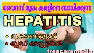 Hepatitis symptoms malayalam liver bloodtests [upl. by Ferdy]