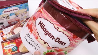 HaagenDazs Ice Cream Summer Lucky Bag HaagenDazs ice cream shaped Cooler Bag is So Good [upl. by Gnuh142]