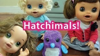 Baby Alive Playing With Hatchimals Baby Alives Play With Hatchimal [upl. by Anyaj885]