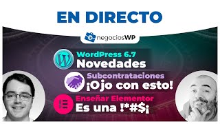 216 WordPress 67 subcontrataciones y cosas de Elementor [upl. by Dolf]