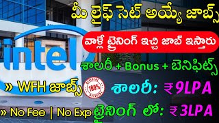 Intel Latest Recruitment 2023 Work From Home Jobs In TeluguLatest Jobs In TeluguJobs In Hyderabad [upl. by Doss366]