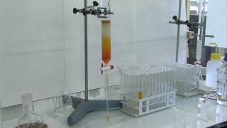 Título Técnicas básicas en un laboratorio de química orgánica Cromatografía en Columna de Gel [upl. by Branscum]