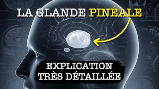 La GLANDE PINÉALE  Explication Très Détaillée choquant [upl. by Ardy]