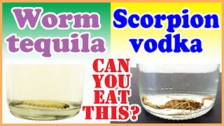 worm tequila amp scorpion vodka  Ill try [upl. by Steve]