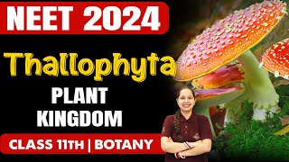 THALLOPHYTA  Plant Kingdom  Botany  NEET 2024  Class 11th Biology neet2024 botany [upl. by Nylacaj]