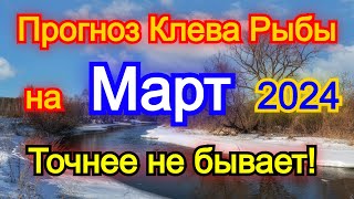 Календарь рыбака на март 2024 Прогноз клева рыбы Лунный Календарь рыбака 2024 [upl. by Hanschen]