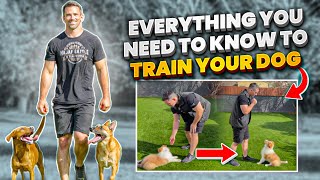 Everything You NEED To KNOW To TRAIN Your DOG [upl. by Laicram]