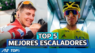 TOP 5 MEJORES ESCALADORES 2021 🔝 [upl. by Assenej]