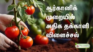 Tamil  Online Farmer giving feedback about our product in Tomato [upl. by Aneekan326]