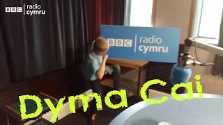 Cai teaching Rhys Mwyn to skank bbc radio cymru  Caban  Coeden Ffati Dew [upl. by Kciremed]