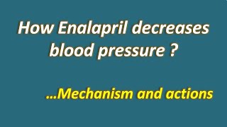 How enalapril decreases blood pressure  Mechanism amp actions [upl. by Adnov]