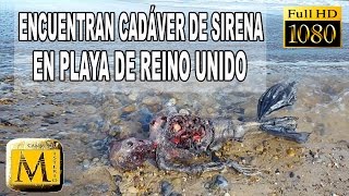 Encuentran Cadáver De Supuesta Sirena En Playa Del Reino Unido [upl. by Ole]