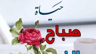 بدأت قناة quotقناة حبيبة المتنوعةquot بثًا مباشرًا [upl. by Tarkany]