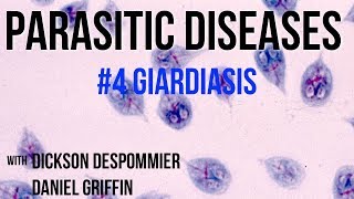 Parasitic Diseases Lectures 4 Giardiasis [upl. by Selrhc]