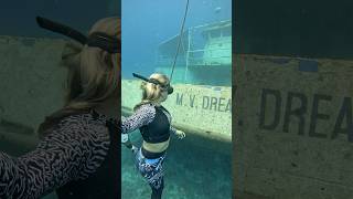 NEW SHIPWRECK 🛥️ dreamchaser mv short shorts video viral barbados hurricane damage boat [upl. by Eselehs]