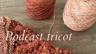 Podcast tricot 6  Laine Poudrée  041024 [upl. by Assilram134]