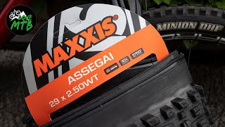 Too MUCH Tire for TRAIL Maxxis ASSEGAI 25 WT vs Minion DHF Quick Check and Ride review [upl. by Damaris888]