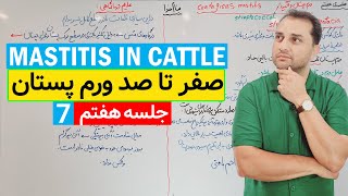 All about mastitis in cattlecontagious mastitis [upl. by Anitnahs874]