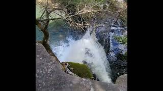 Savage Falls at Savage Gulf State Park is an oasis of beauty in middle Tennessee [upl. by Hyacinthe]